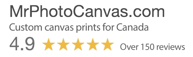 custom-photo-canvas-toronto MrPhotoCanvas Google Reviews