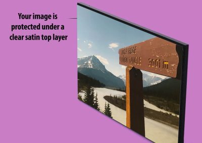 Photo print mounted to wood (MDF) painted black